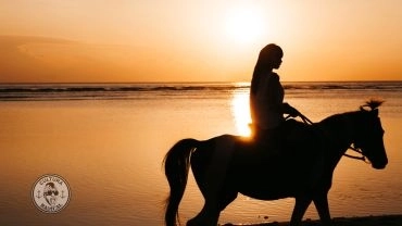 Passeio à Cavalo na Lagoa da Conceição